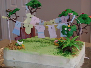 clothes cake