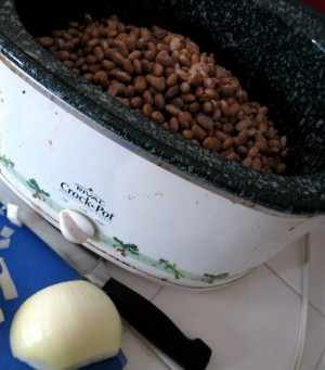 Pinto Beans