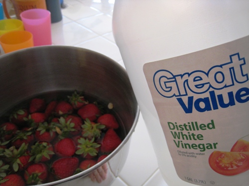 vinegar