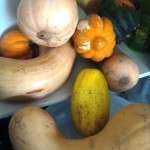 winter squash recipes