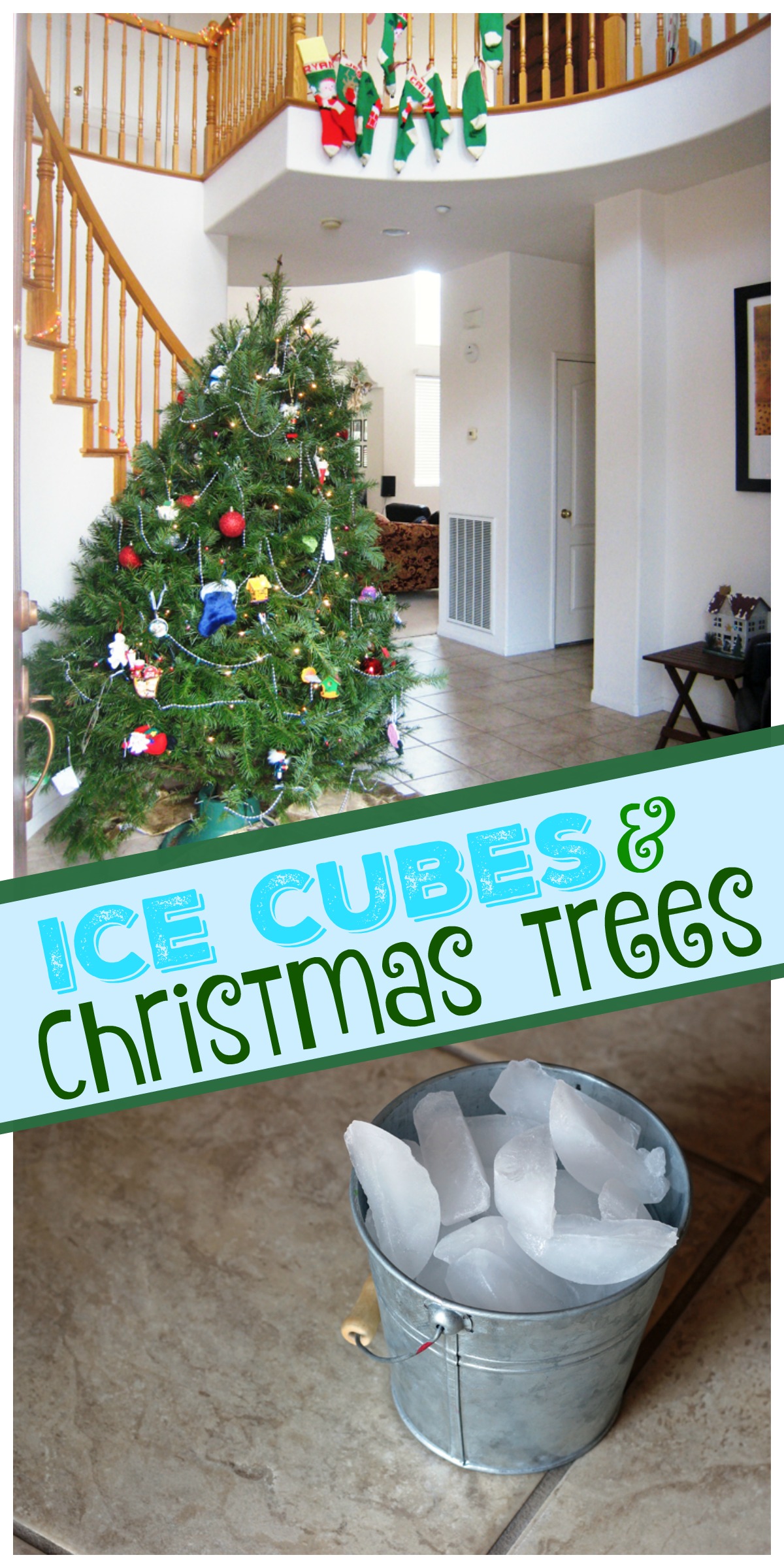 Feed Your Christmas Tree with Ice Cubes | Life as Mom - Let your toddler be the keeper of the tree this year. Feed your live Christmas trees with ice cubes!