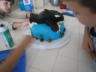 Finished whale cake on platter.