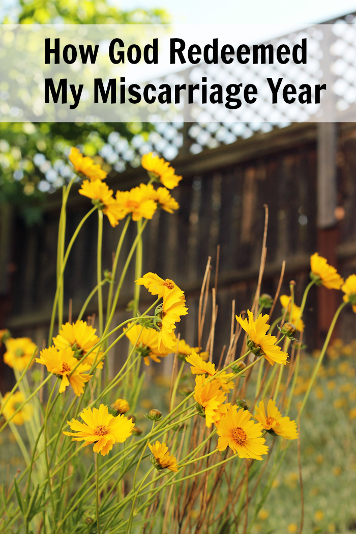 A close up of yellow flowers with text overlay: How God Redeemed My Miscarriage Year.