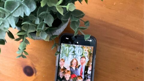 plant on wood surface near a phone with a timer running.