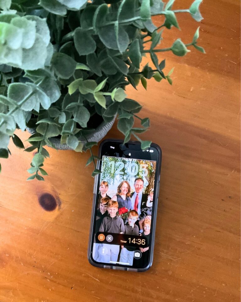 plant on wood surface near a phone with a timer running.