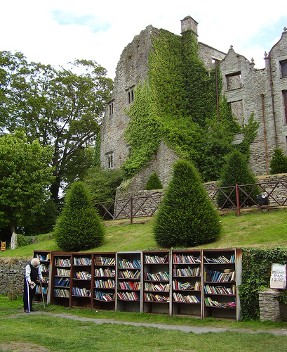 Topiary on lawn behind shelves of books.