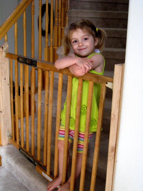 Best Baby Gates for Stairs and Doorways