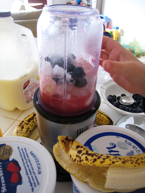 https://lifeasmom.com/wp-content/uploads/2010/05/DIY-Smoothie-Bar-3.jpg