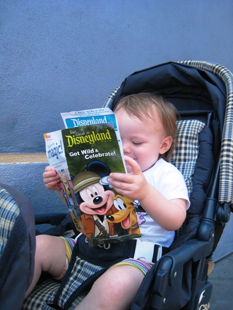 Baby in stroller reading map at Disneyland.