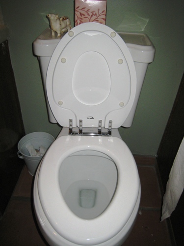 Toilet Seat with training insert in green bathroom.