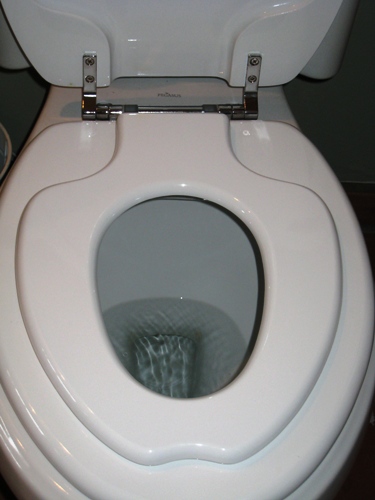 Toilet seat insert flipped down on larger seat.