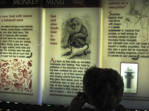 A boy reading a lit sign at the zoo.