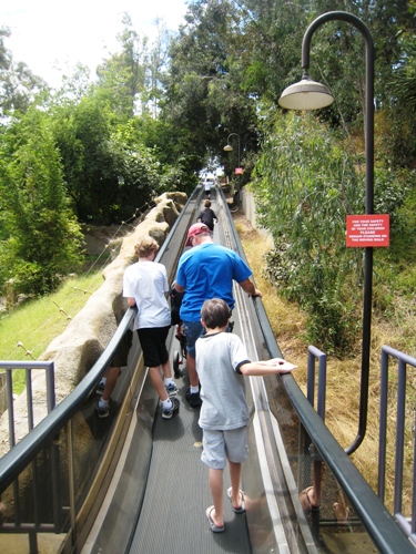 Dad and kids on the moving sidewalk at the zoo.