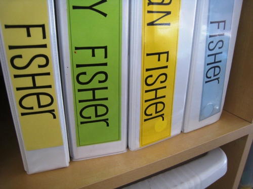 binders lined up on school shelf.