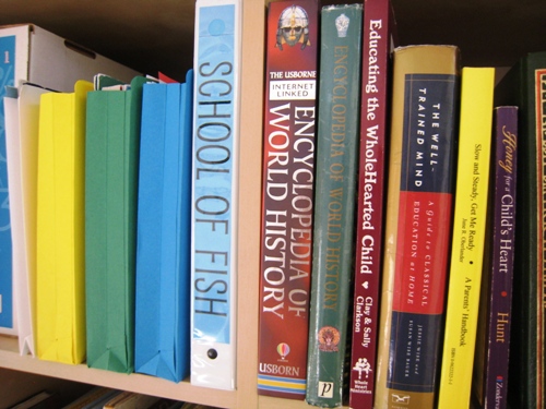 Books and binders lined up on school shelf.