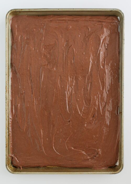 cake batter in the prepared pan.