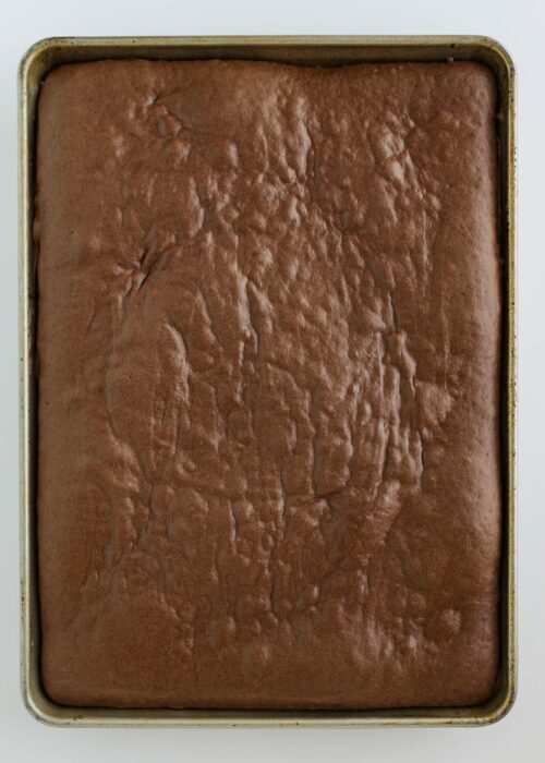 baked cake in sheet pan.