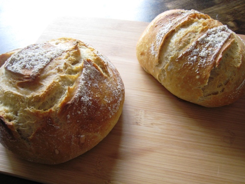 Featured image of post Artisan Bread In 5 Minutes A Day Cinnamon Rolls : I&#039;m still in disbelief in fact about how incredibly delicious they tasted.