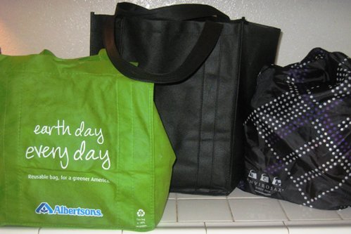 Why You Should Use Reusable Shopping Bags