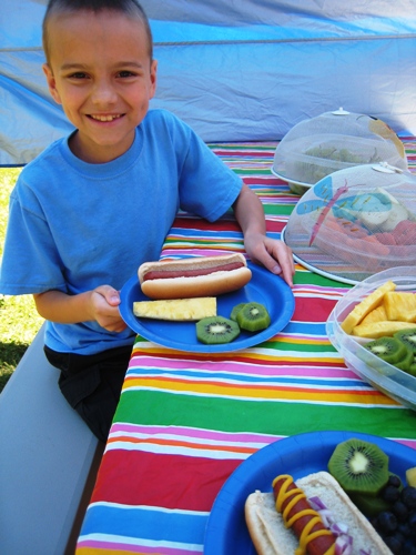 3 Things You Need for a Great Family Picnic