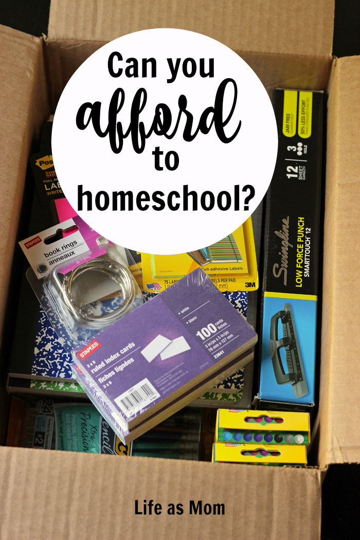 Can You Afford to Homeschool or Not? Life as Mom