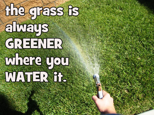 The Grass is Always Greener….