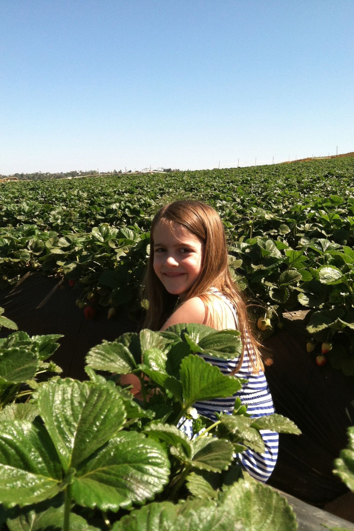 girl sitting in a strawberry patch.