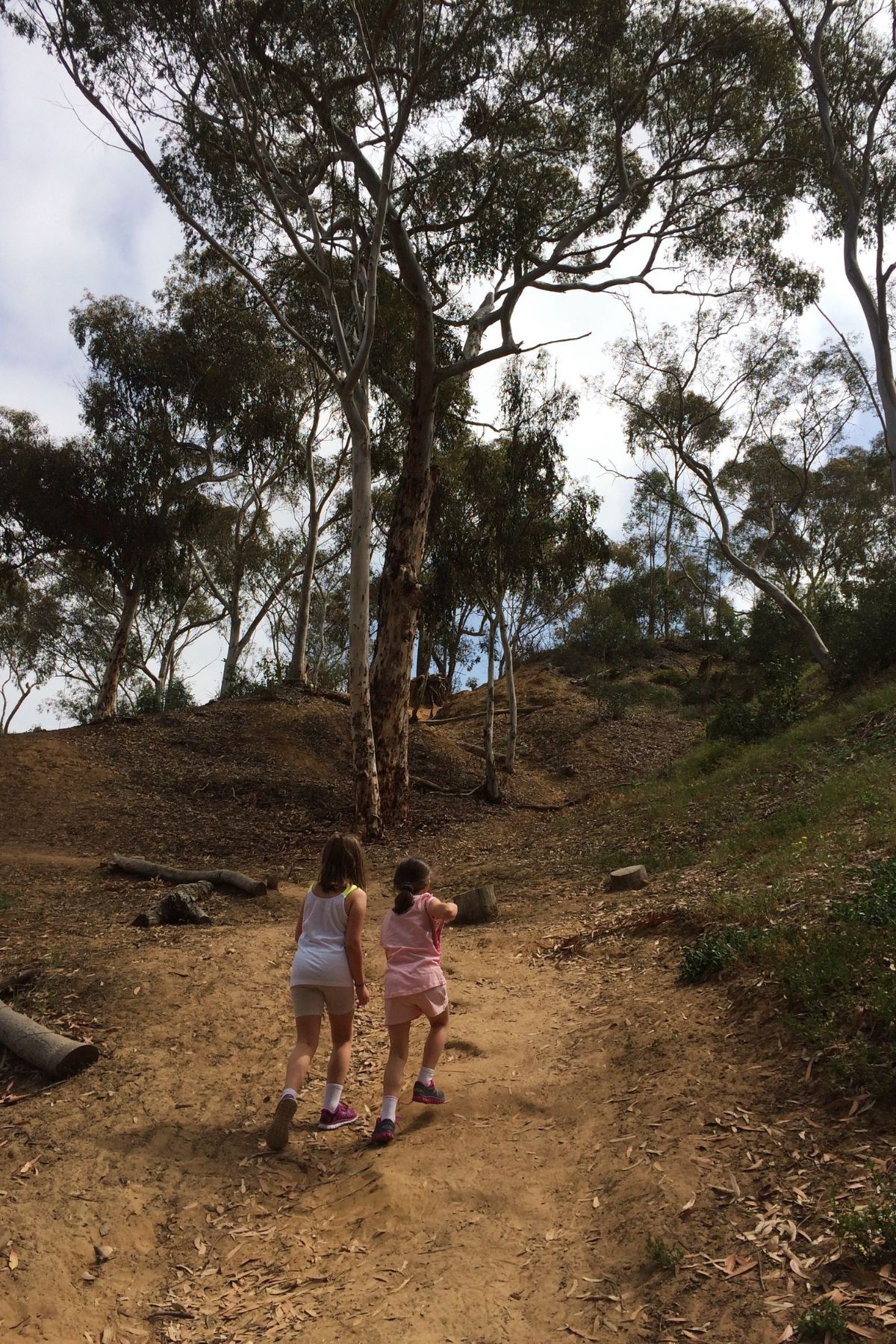 pair of girls climbing a hiking hill with eucalyptus trees around.