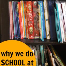 Why We Do School at Home | Life as Mom