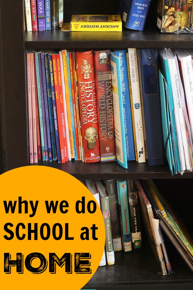 Why We Do School at Home | Life as Mom