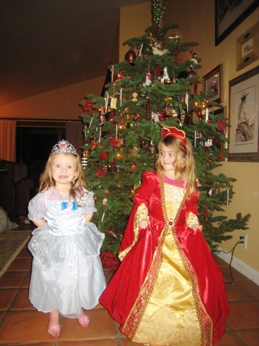 Two girls dressed in princess costumes.