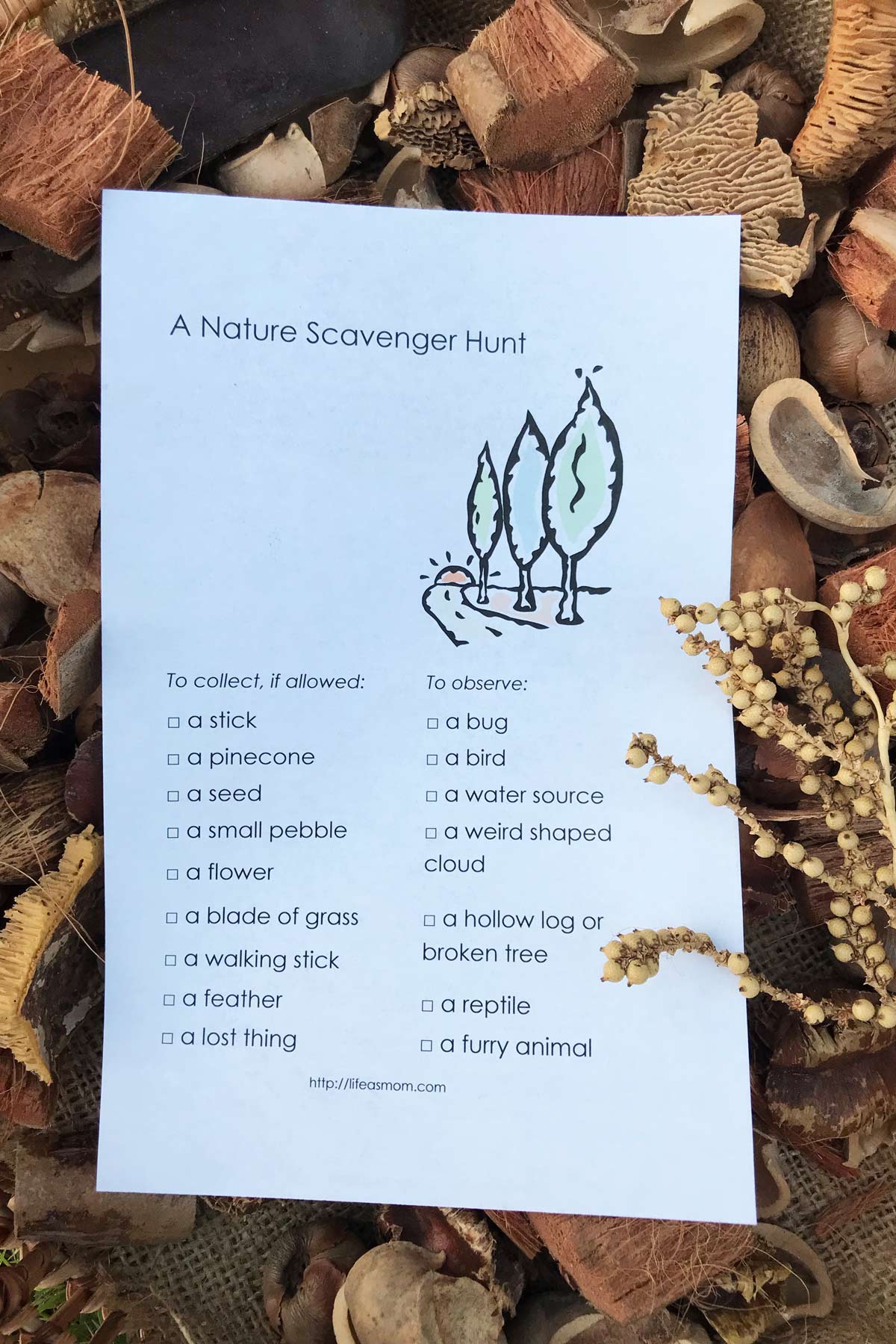 printable scavenger hunt near a pile of specimens.