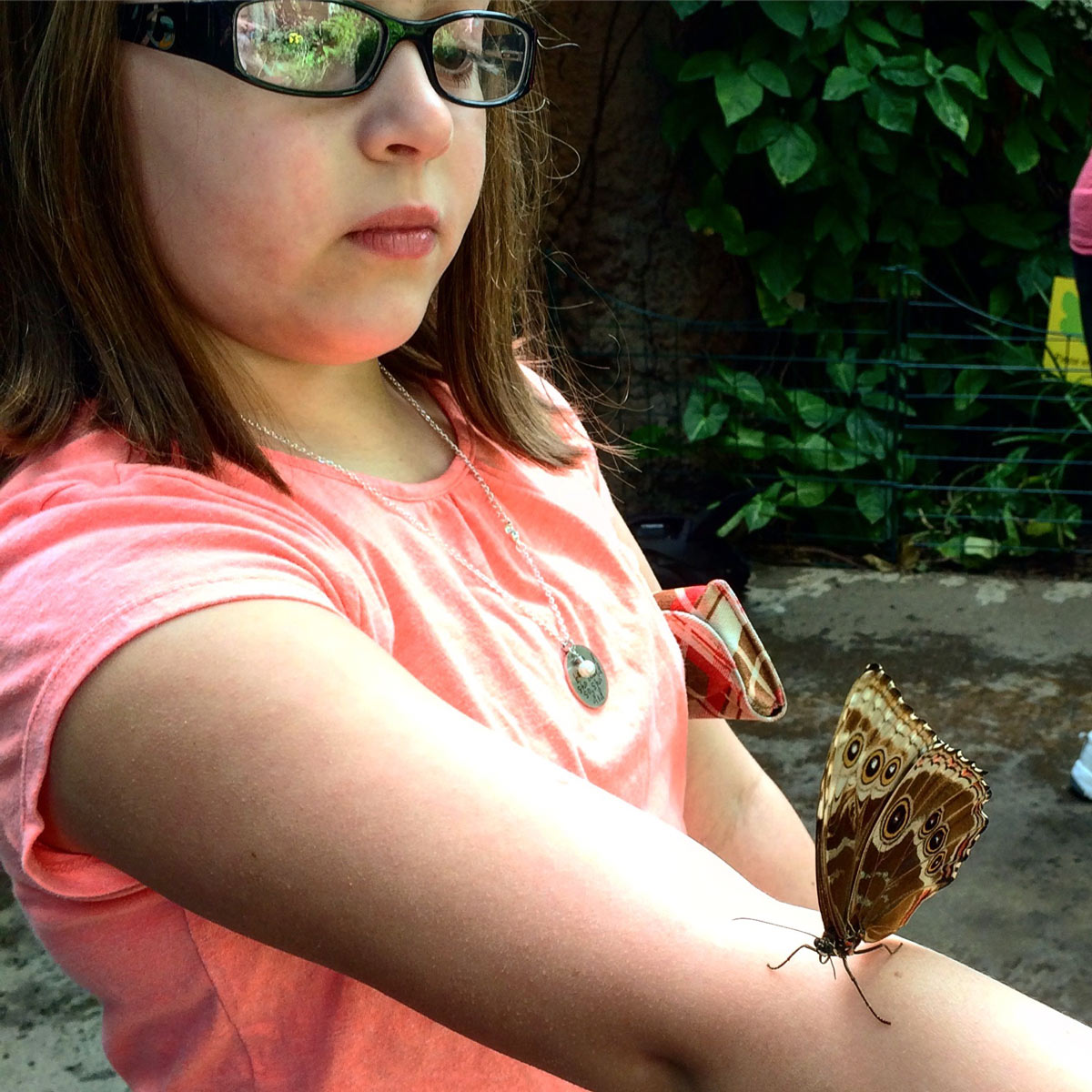 girl at the zoo in the butterfly room with a butterfly on her arm.
