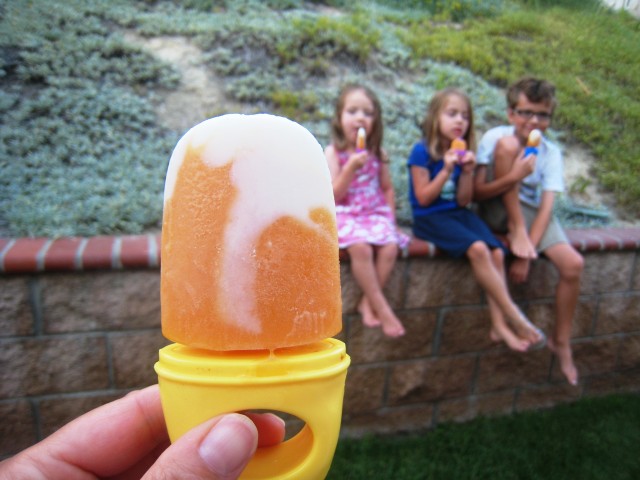 summer popsicles