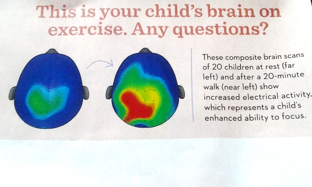 brain on exercise