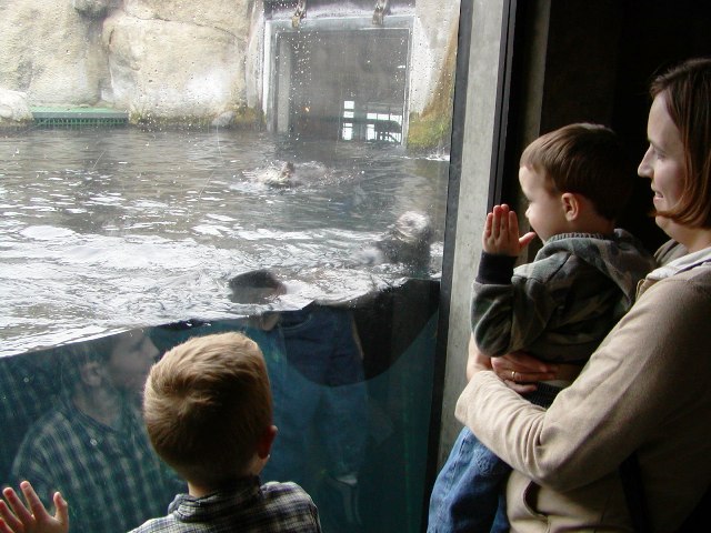 at the aquarium