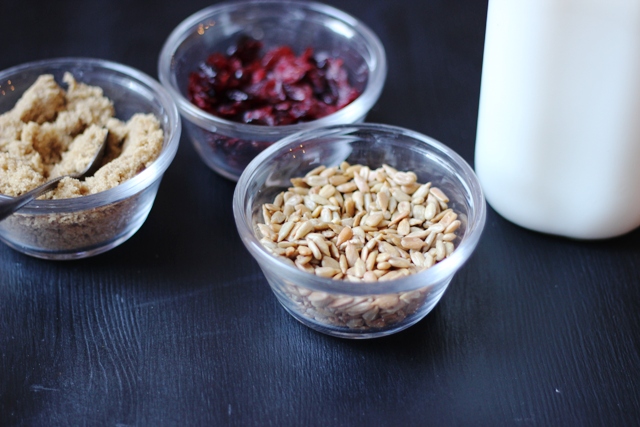 Cranberry Sunflower Oatmeal And An Oatmeal Bar