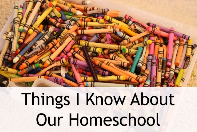 Things I Know About Our Homeschool - Curious about homeschooling? This is where I am today, 42-year old me with six kids, a writing career, and a homeschool.