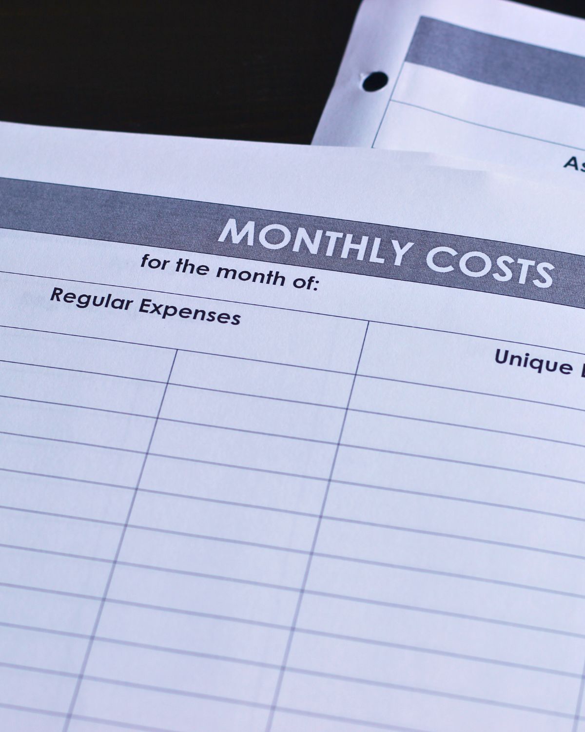monthly costs worksheet.