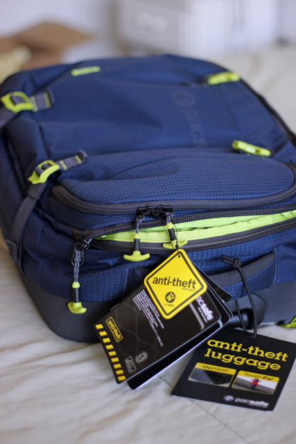 Pacsafe venturesafe hotsell 45l review