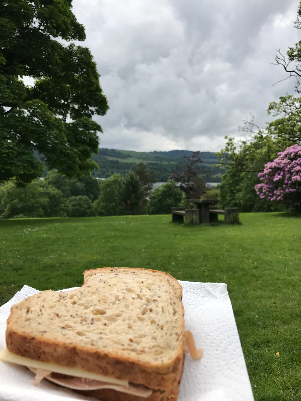 sandwich on napkin in foreground, Loch Lomond in background.