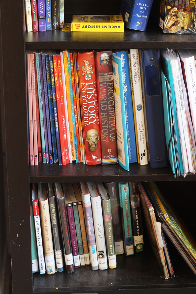 books shelves filled with library books