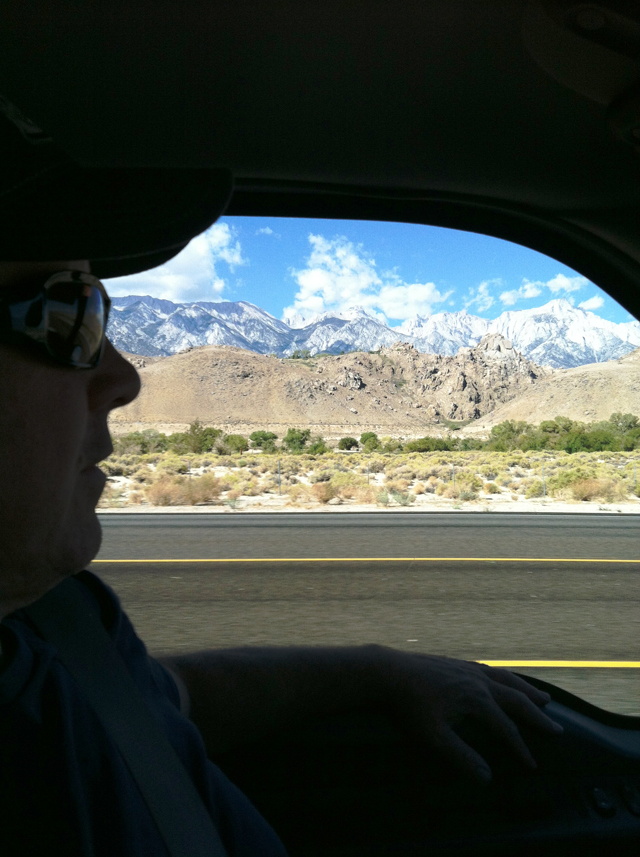 silhouette of man driving in car