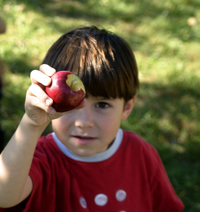 boy with apple