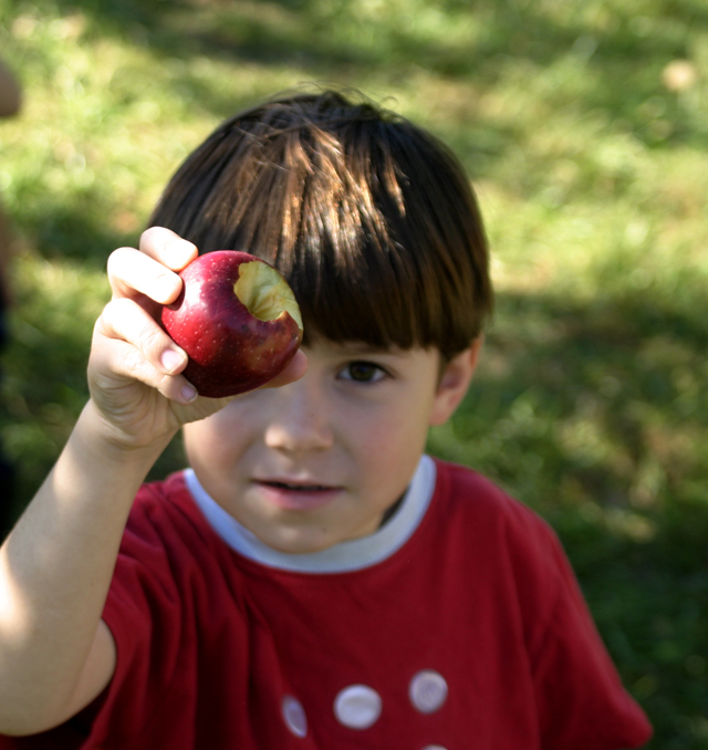 Peanut and Tree Nut-Free Snacks