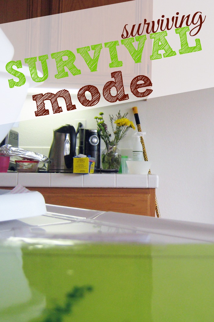 Surviving Survival Mode PIN