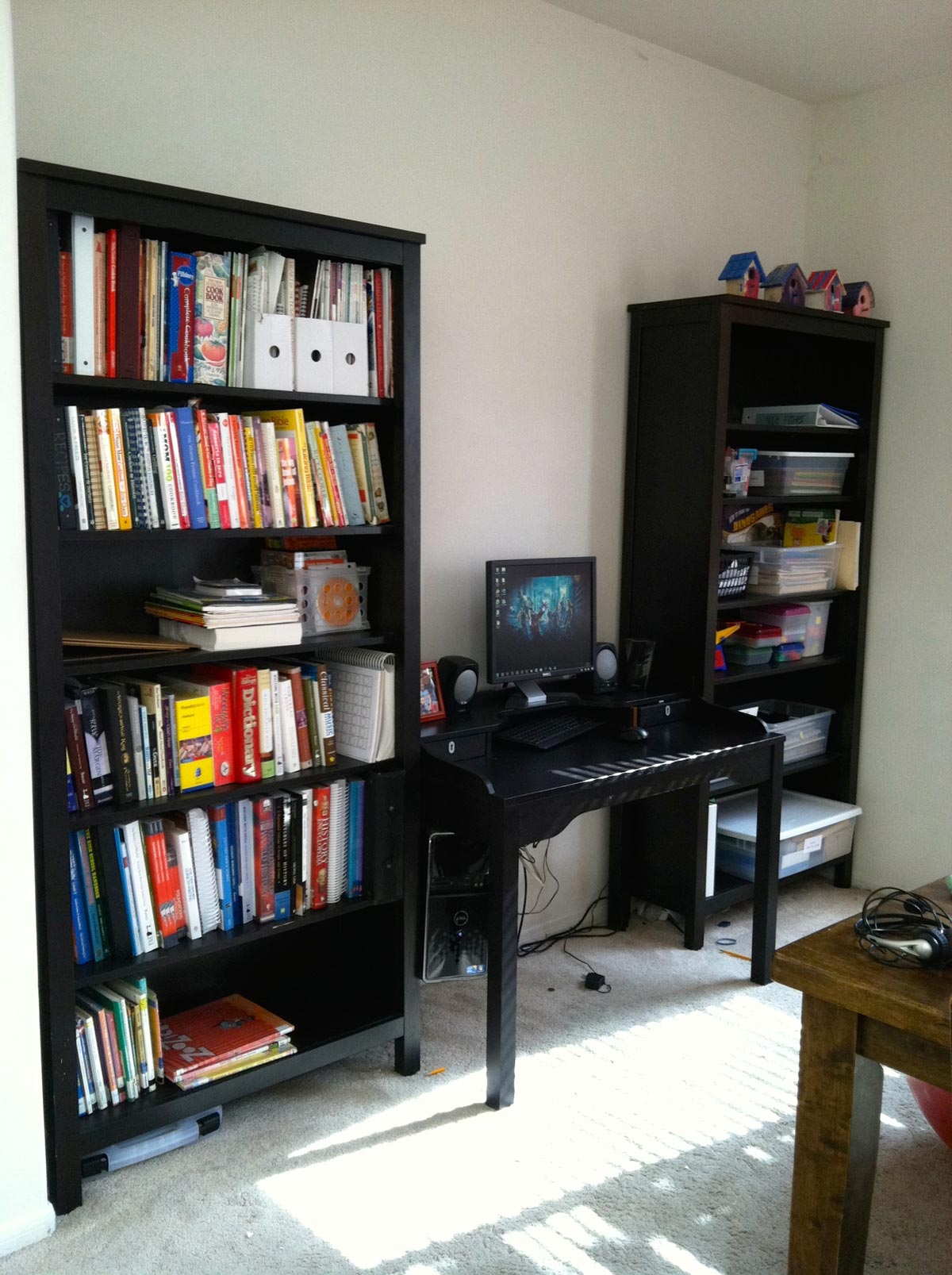 black book cases along wall of school room with desk in between.