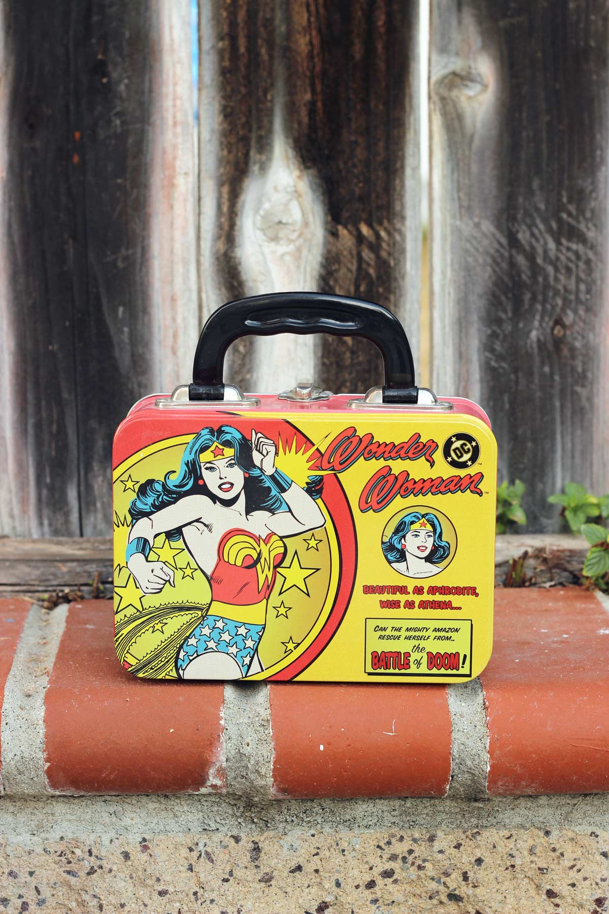 wonder woman lunch box on a wall near a wood fence.