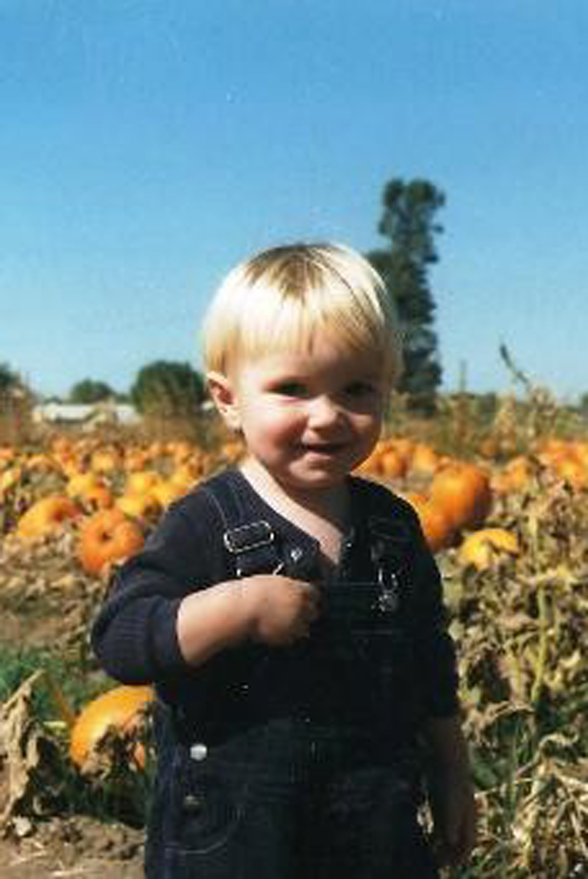 blond toddler in pumpkin patch.