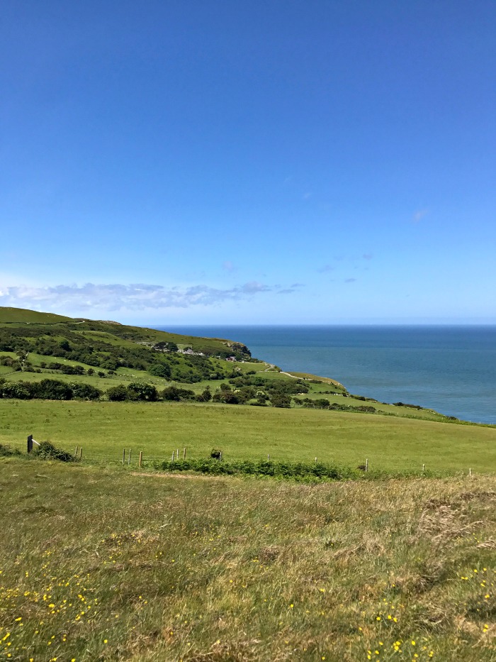 The top of a lush green field by the ocean.